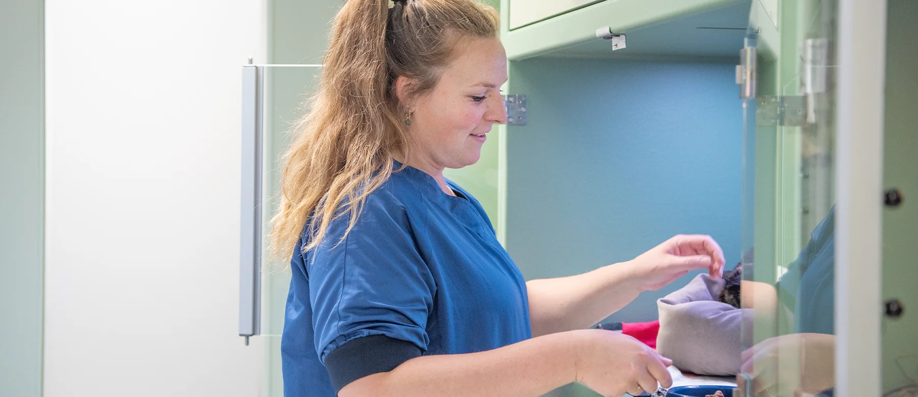 Paraveterinairen in het dierenziekenhuis