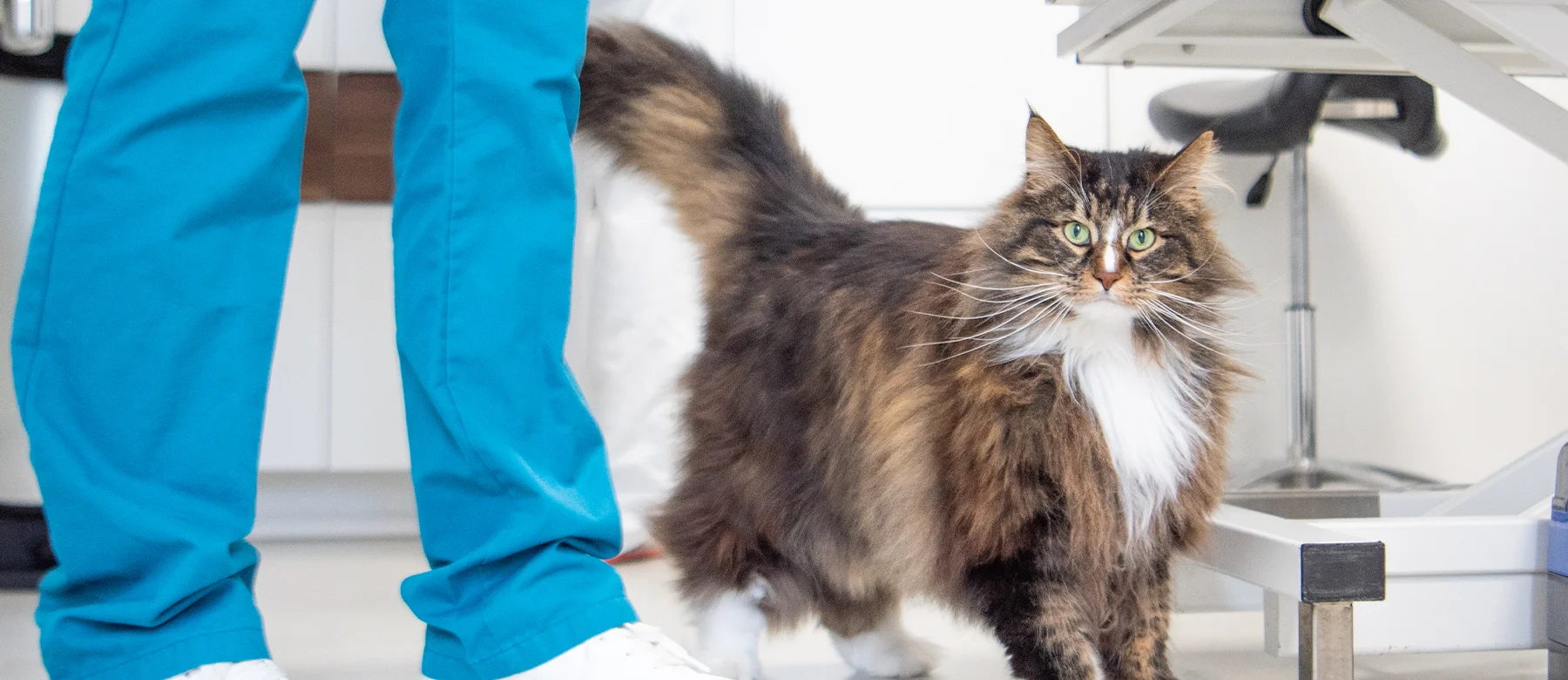 Missie en visie