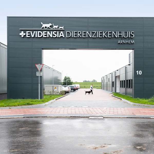 Evidensia Dierenziekenhuis Arnhem